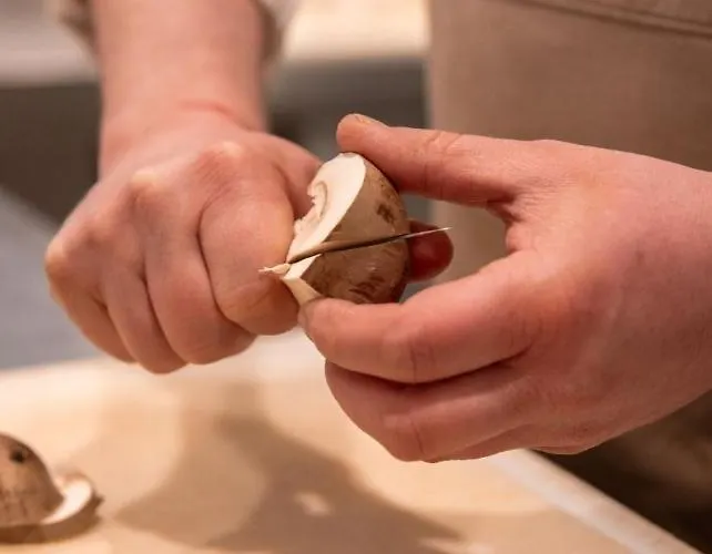 Landgoed Ulvenhart Ulvenhout